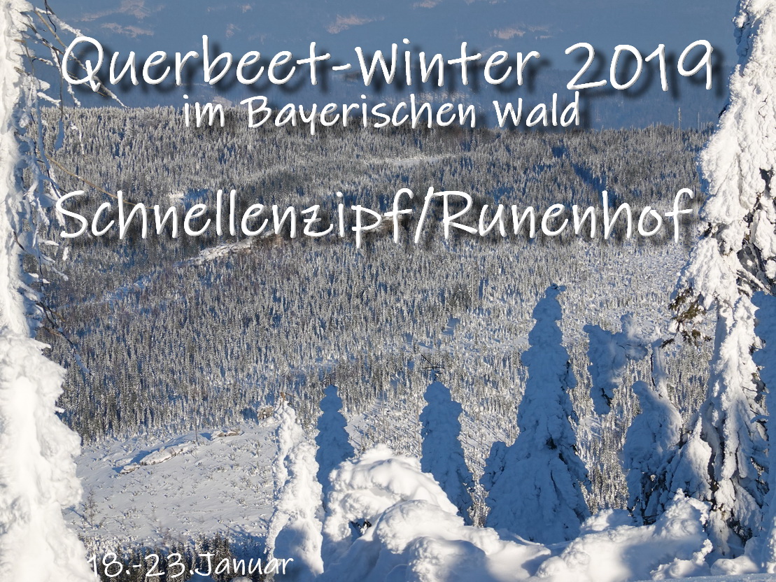 Querbeet im Bayerischen Wald Januar 2019