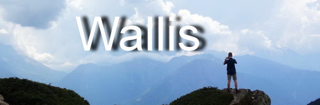 Wallis 2019