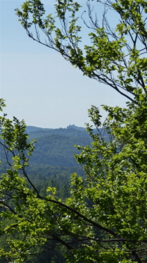 04 Burg Hohenstein