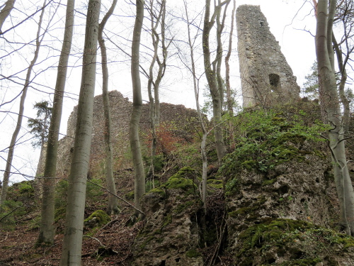 11 Ruine Wildenfels