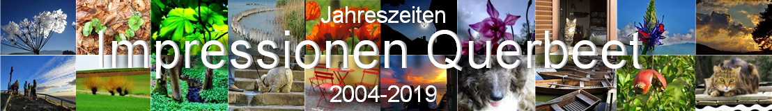 Querbeet-Impressionen 15 Jahre 2004-2019
